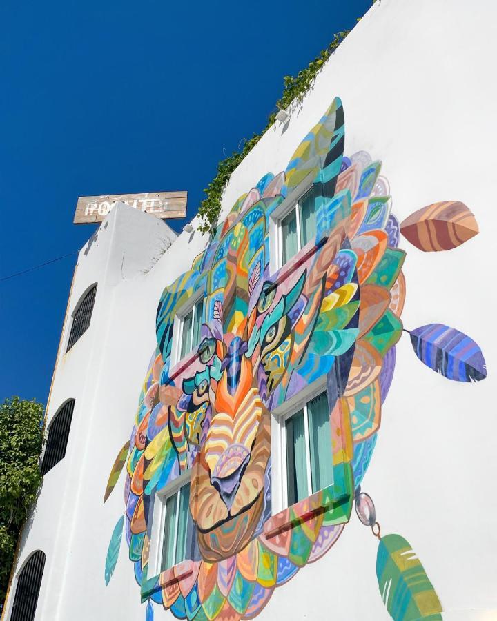 Lucky Duck Pj Hotel Cancun Exterior photo
