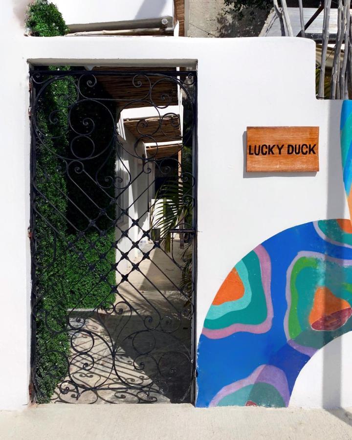 Lucky Duck Pj Hotel Cancun Exterior photo