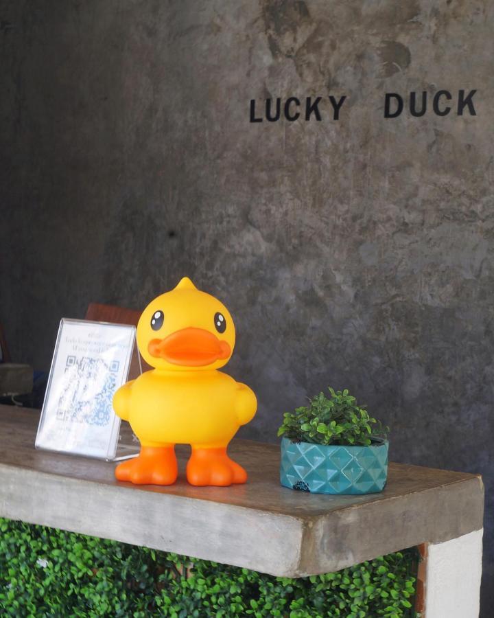 Lucky Duck Pj Hotel Cancun Exterior photo